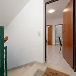 Nest Ciovo *