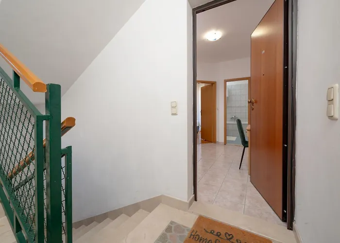 Nest Ciovo *