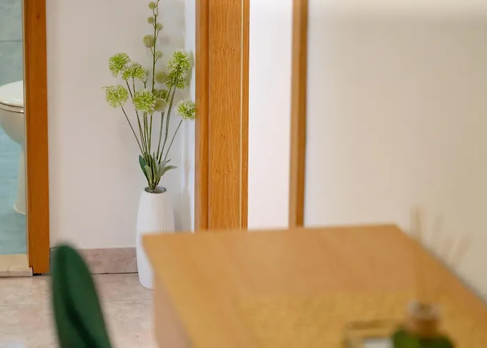 Apartment Nest Ciovo *