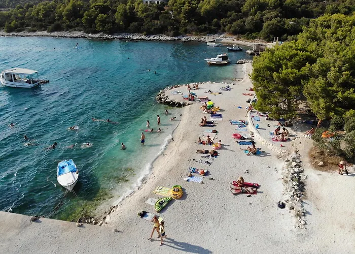 Apartment Nest Ciovo *